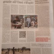 Articolo di giornale